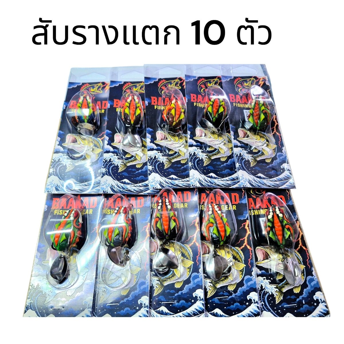 กบยาง สับรางแตก 10 ตัว